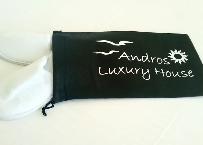 Ξενοδοχείο με διαμερίσματα Seaside Luxury Suites, Infinity Pool By Explore Andros Κυπρί