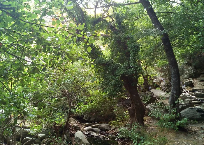 Seaside Luxury Suites, Infinity Pool By Explore Andros 4* Κυπρί